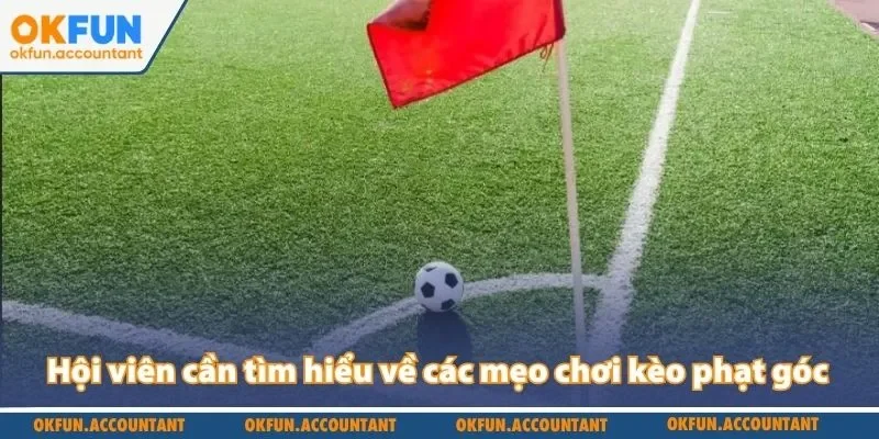 Hội viên cần tìm hiểu về các mẹo chơi kèo phạt góc